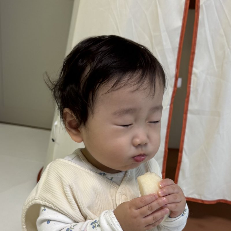 원이 사진